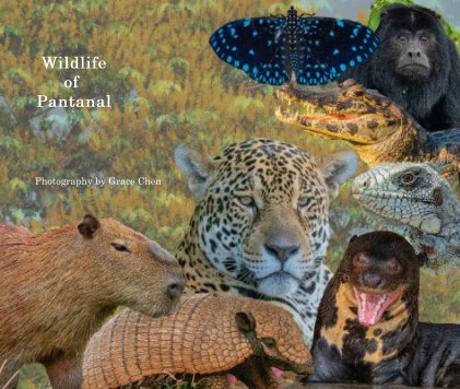 Wildlife of Pantanal book cover