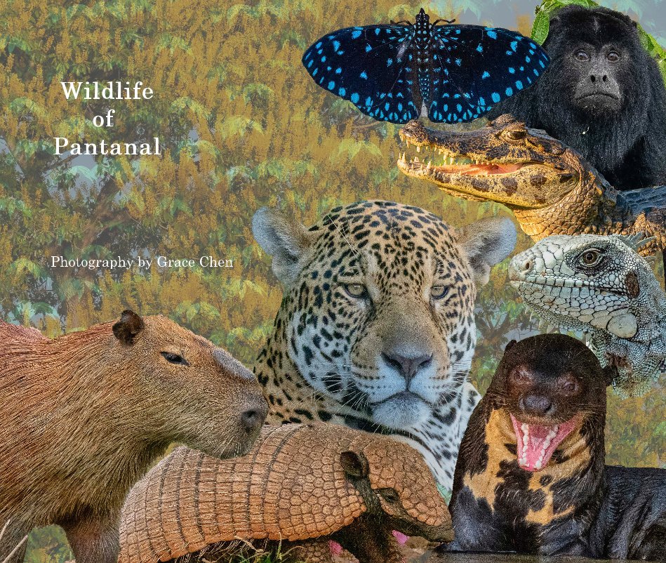 Ver Wildlife of Pantanal por Photography by Grace Chen