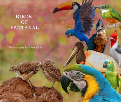 Birds of Pantanal book cover