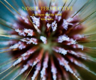 NOBLE PERSPECTIVE book cover