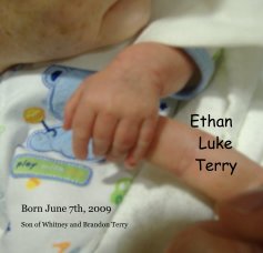 Ethan Luke Terry book cover