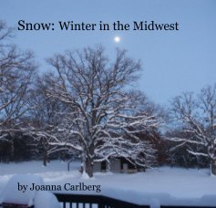 Snow: Winter in the Midwest book cover