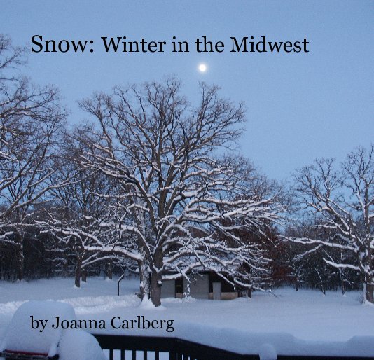 View Snow: Winter in the Midwest by Joanna Carlberg
