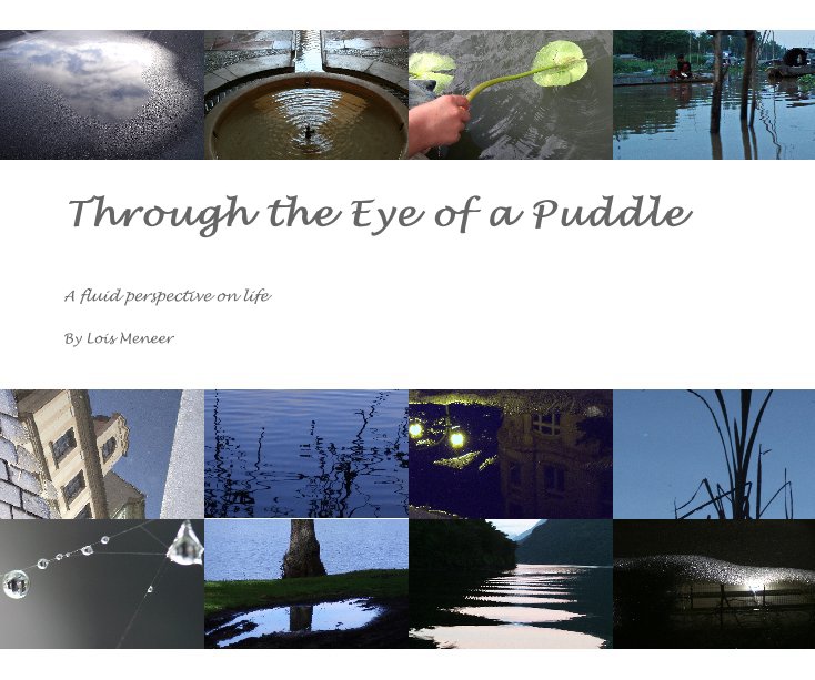 Ver Through the Eye of a Puddle por Lois Meneer