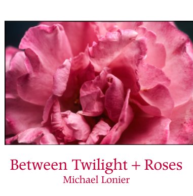 Between Twilight + Roses book cover