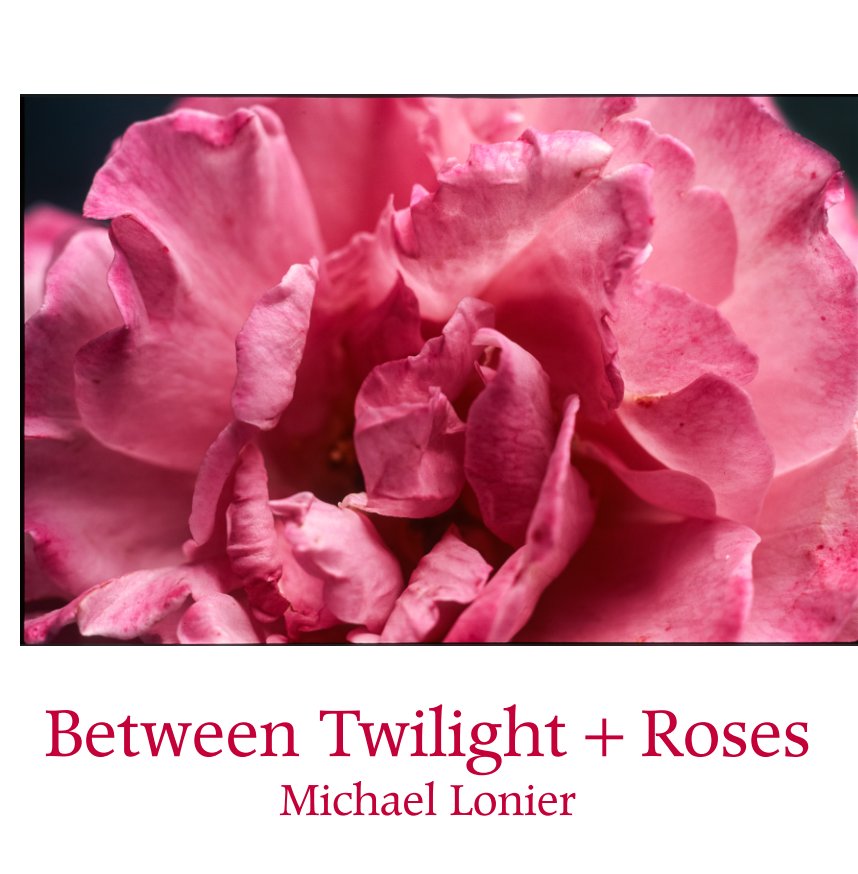 View Between Twilight + Roses by Michael Lonier