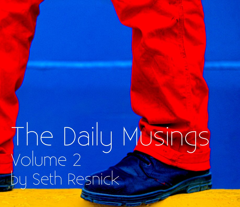 View The Daily Musings Volume 2 by Seth Resnick