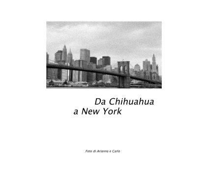 Da Chihuahua a New York book cover