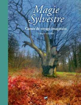 Magie sylvestre book cover