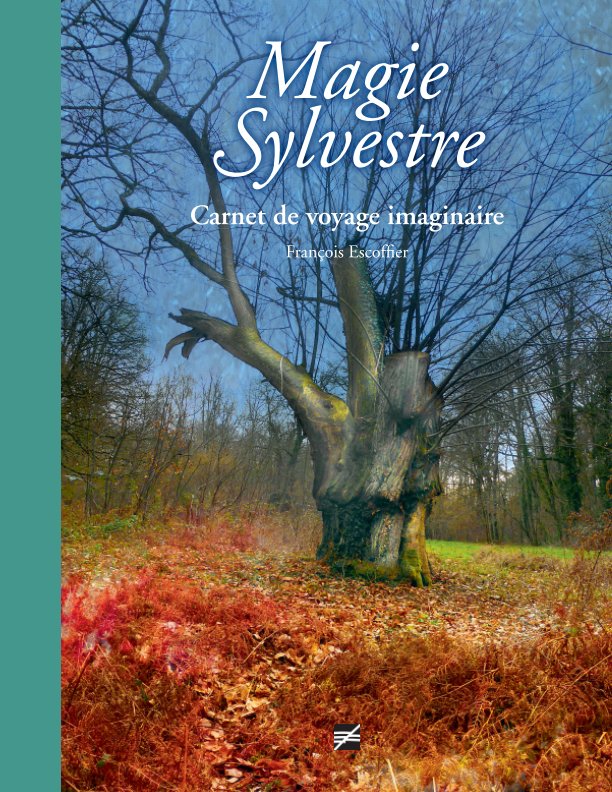 View Magie sylvestre by François Escoffier