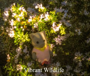 Vibrant Wildlife book cover