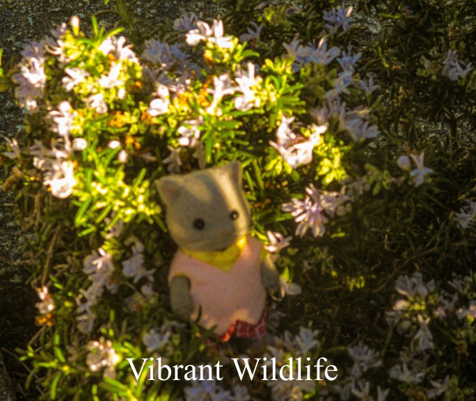 View Vibrant Wildlife by Evie Rebeiro