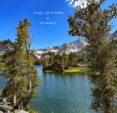 Living a Life in Wonder by Deb DuHamel book cover