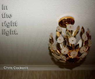 In The Right Light book cover