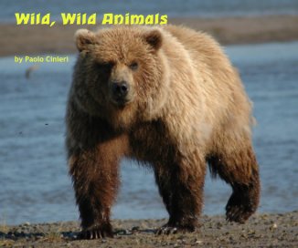 Wild, Wild Animals book cover