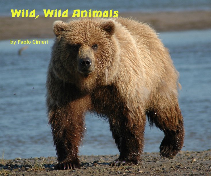 Ver Wild, Wild Animals por Paolo Cinieri