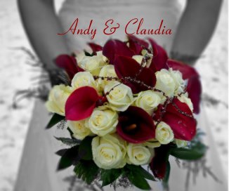 Andy & Claudia book cover