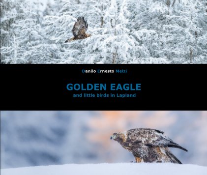 Golden Eagle book cover