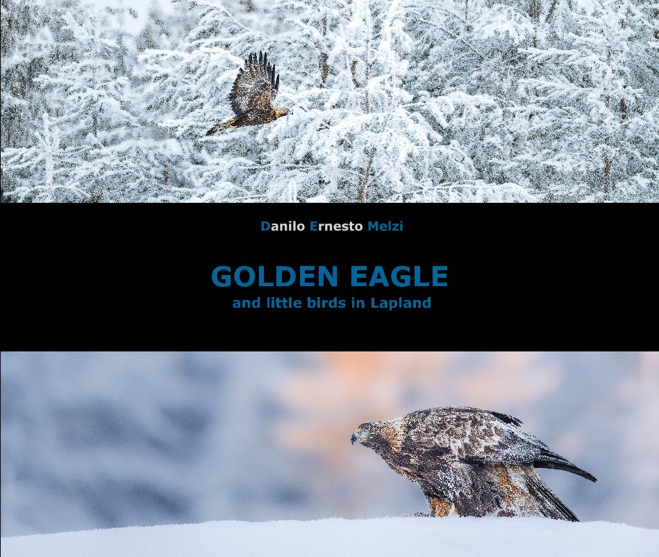 View Golden Eagle by Danilo Ernesto Melzi