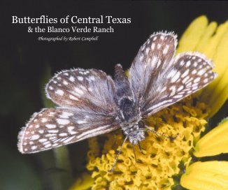 Butterflies of Central Texas book cover