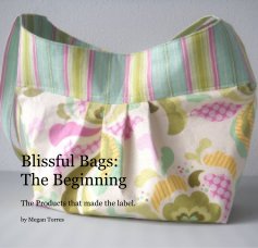 Blissful Bags: The Beginning book cover