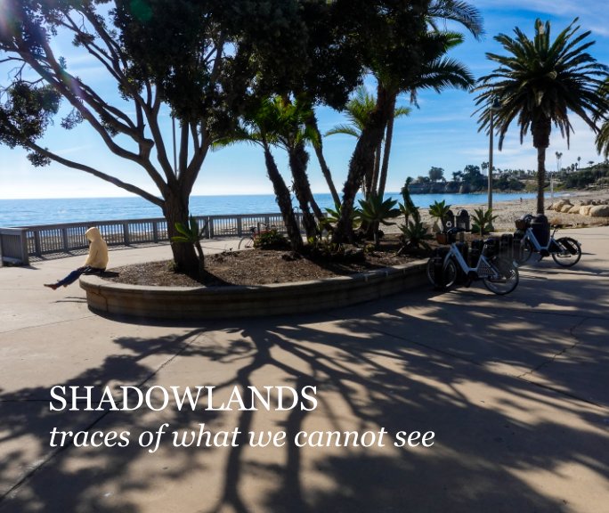 View Shadowlands by Daniel Thomas