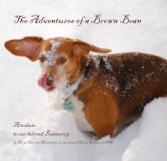 The Adventures of a Brown Bean book cover