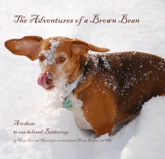 View The Adventures of a Brown Bean by Meryl, Dan, and Missoula for our dear friends Marisa, Eamonn, and Will