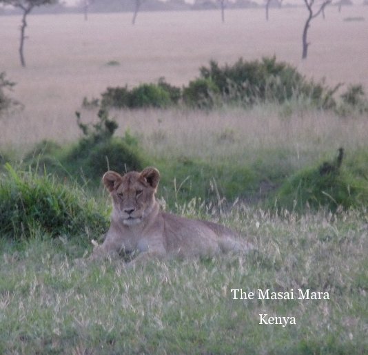 Ver Untitled por Kenya