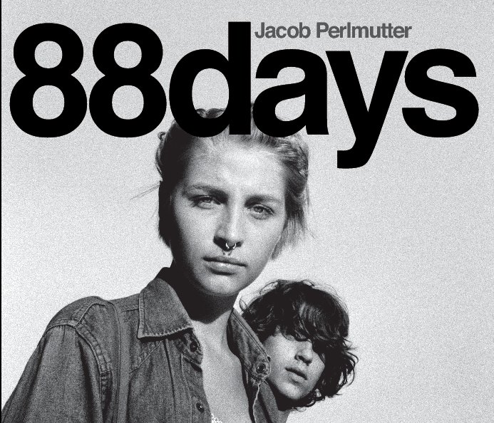 View 88 days by Jacob Perlmutter