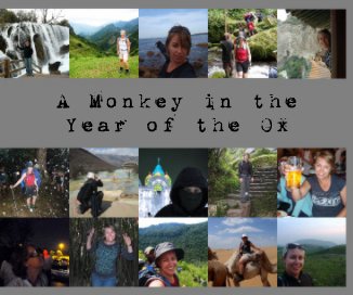 A Monkey in the Year of the Ox book cover