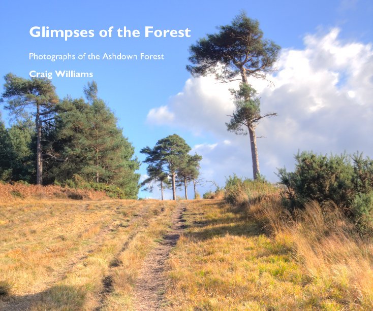 View Glimpses of the Forest by Craig Williams