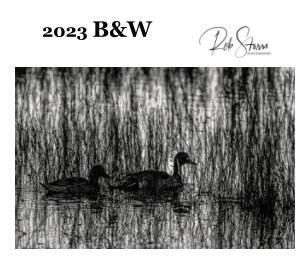2023 B and W book cover