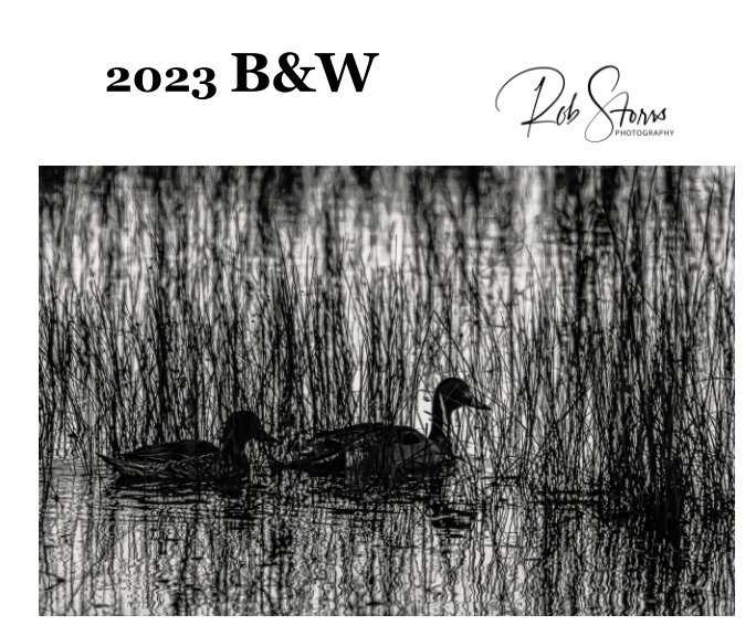 Ver 2023 B and W por Rob Storrs photography