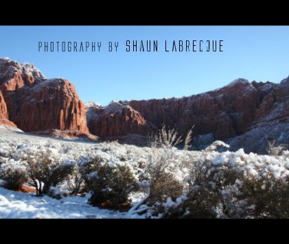 Photography by Shaun Labrecque book cover