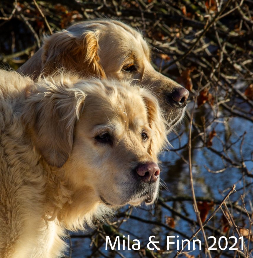 View Mila en Finn 2021 by Alain Pierlot