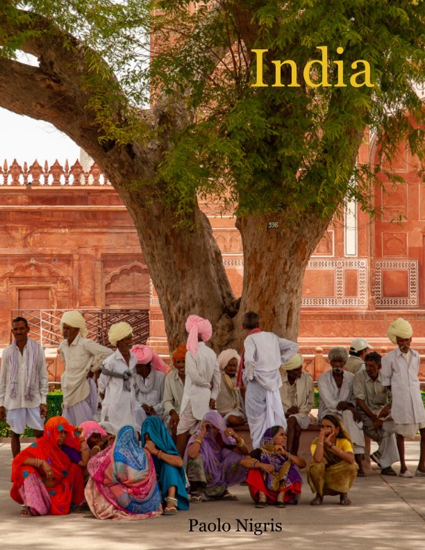 View India by Paolo Nigris