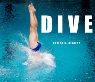 Dive book cover
