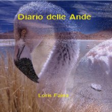 Diario delle Ande book cover