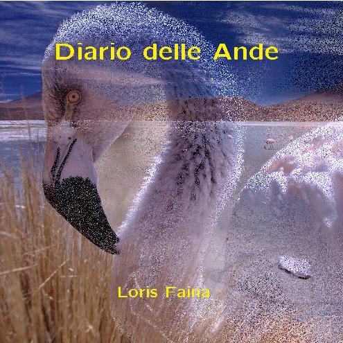 View Diario delle Ande by Loris Faina