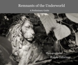 Remnants of the Underworld book cover