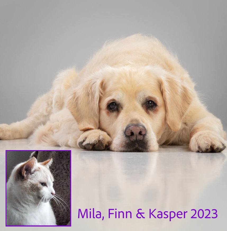 View Mila, Finn en Kasper 2023 by Alain Pierlot