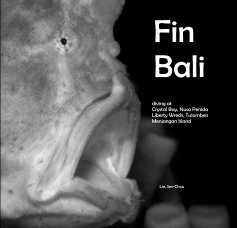 Fin Bali book cover