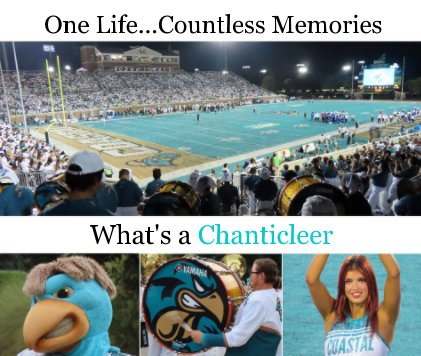 What's a Chanticleer book cover
