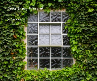 Come to my Window book cover