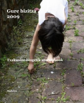 Gure bizitza 2009 book cover