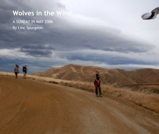 Wolves in the Wind book cover