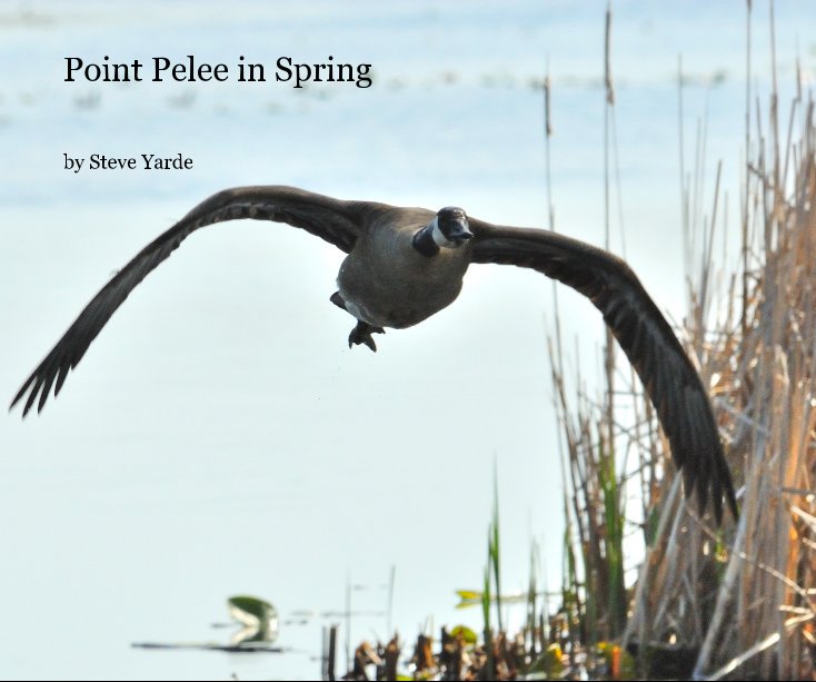 View Point Pelee in Spring by Steve Yarde