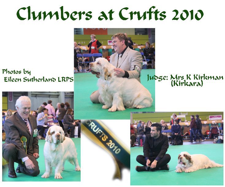 Ver Clumber Spaniels at Crufts 2010 por Eileen Sutherland