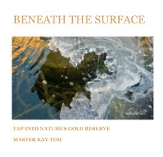 BENEATH THE SURFACE book cover